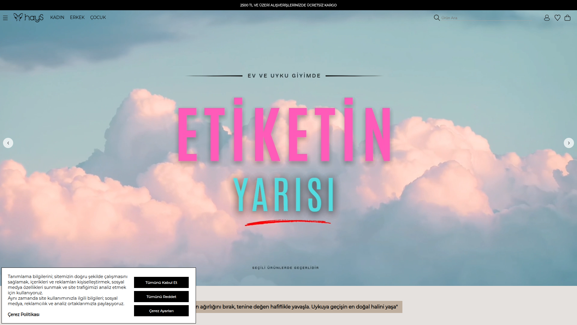 Hays Shop masaüstü ekran görüntüsü